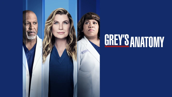 When Will New Grey’s Anatomy Season 18 Episodes Be Available on Netflix?