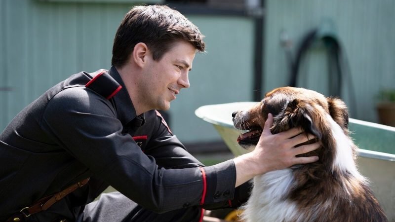 ‘Rescued by Ruby’ Features Grant Gustin Sharing an Unshakable Bond With His Dog Ruby – Trailer Released, Check Details Here