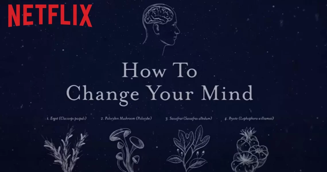 Here’s Everything You Need to Know About ‘How to Change Your Mind’ on Netflix