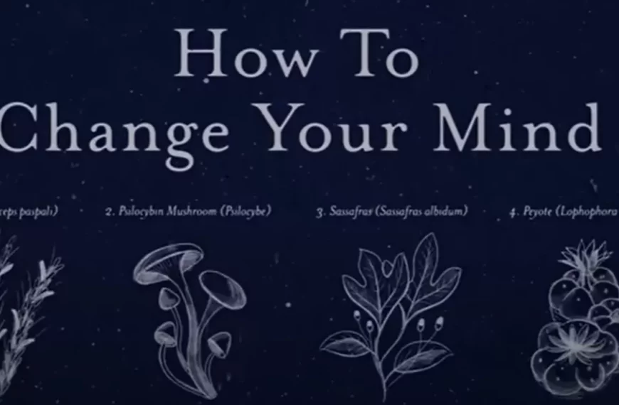 Controversial Podcaster Joe Rogan Hypes Up Netflix’s Psychedelic Docuseries ‘How to Change Your Mind’