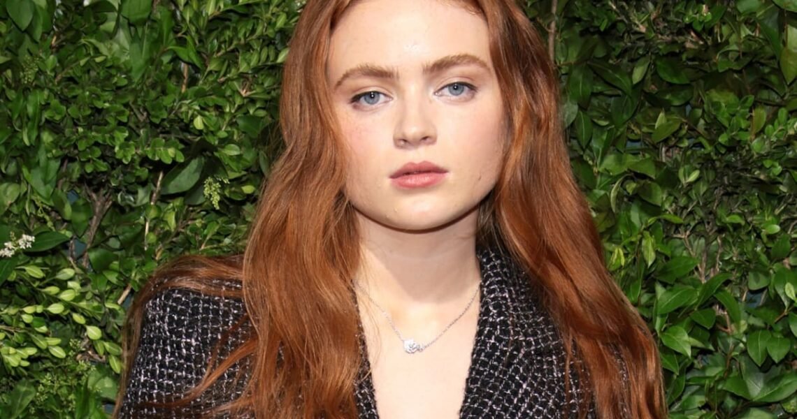 “I’ll just literally take eyeliner and rub it everywhere…” – When Sadie Sink Disclosed Her Struggles With Makeup