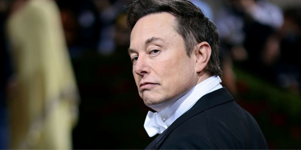 What Would Elon Musk “Twitter Disaster”  Netflix Series Look Like?