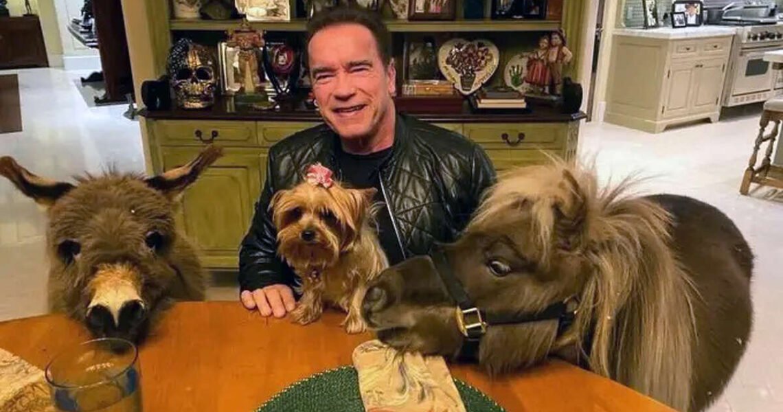 WATCH: Arnold Schwarzenegger Sharing Adorable Moments With His Unusual Pets