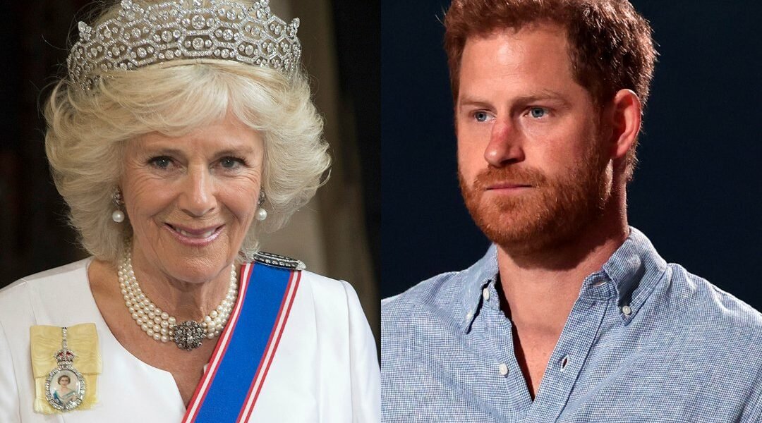 Prince Harry Accuses Queen Consort Camilla of Forging Connections With Press To “rehabilitate her image”