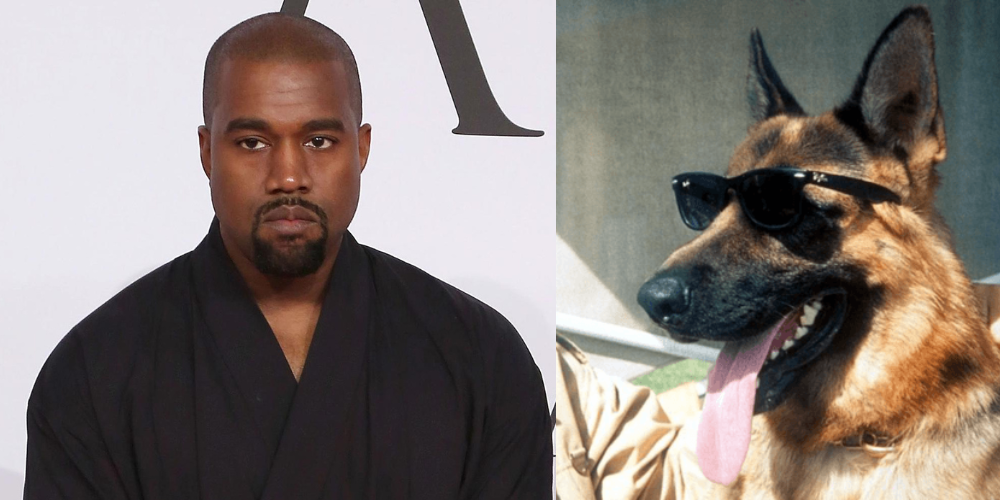 In The Race of Being Rich, Kanye West Lost To a German Shepherd Dog