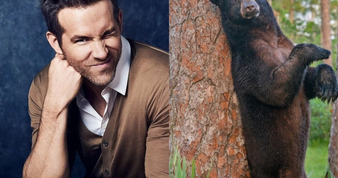After Tapping Toes for ‘Spirited’, Ryan Reynolds Set to Narrate Animal Series ‘Underdogs’ for National Geography