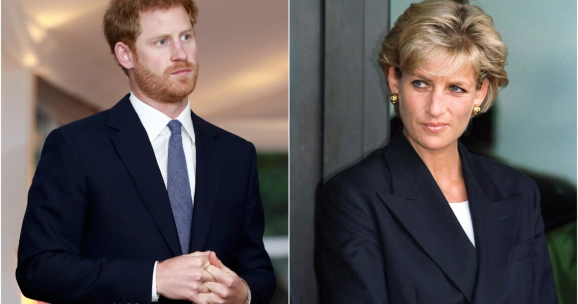 UNDIVIDED SUPPORT! Princess Diana’s Biographer Reveals the Huge Contrast Between Prince Harry and the Late Royal