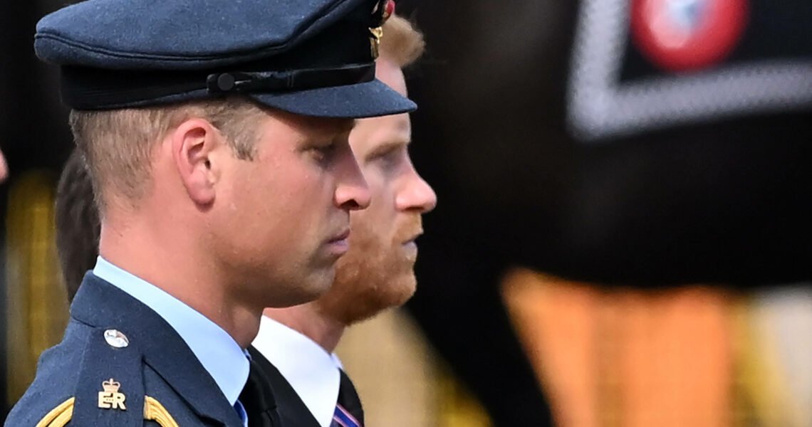 Prince Harry Snubs Prince William in the 90-Minute Livestream With Zero Mention of the Elder Brother